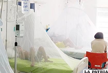 Se tiene 212 casos confirmados y 1.688 casos sospechosos sólo en este sector 
/PERI?DICO BOLIVIA