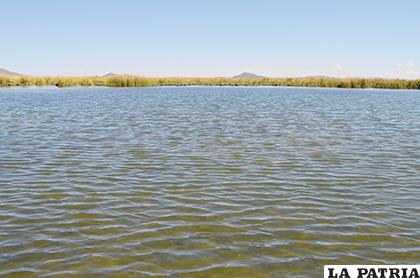 Se prevé tener una buena cantidad de peces en el lago Uru Uru /LA PATRIA