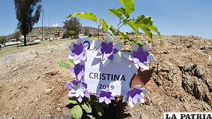 Plantación de un arbolito con el nombre de una víctima de feminicidio / OPINI?N