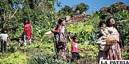 Indígenas de la etnia Guaraní Mbya desocuparon un terreno en Sao Paulo 
/ENTORNO TURISTICO