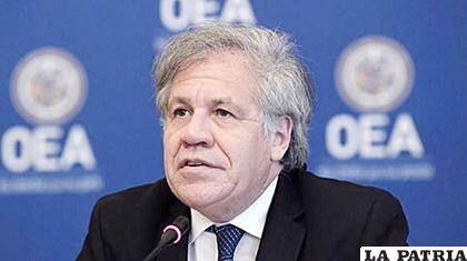 La Cancillería de Bolivia respaldará la reelección de Luis Almagro como secretario general de la OEA/OEA