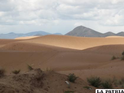 Los arenales de la zona Norte, un patrimonio que debe ser protegido