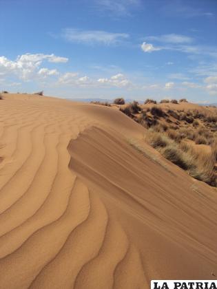 Las dunas de arena es ese sector alcanzan los 15 metros de altura
