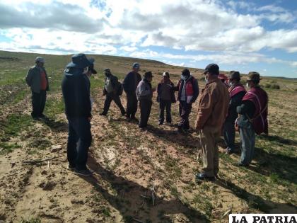 En la mayoría de los municipios la helada afectó sembradíos /Archivo LA PATRIA