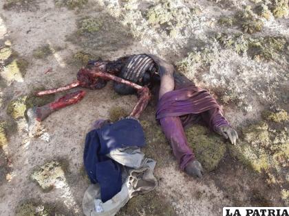 Los restos del cuerpo eran devorados por canes /LA PATRIA