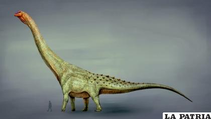 La comparación de un hombre al lado del supersaurus /WIKIMEDIA MARIOL LANZAS
