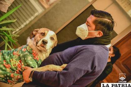 Alcalde adopta al can “Angelino Carnavalero” /GAMO