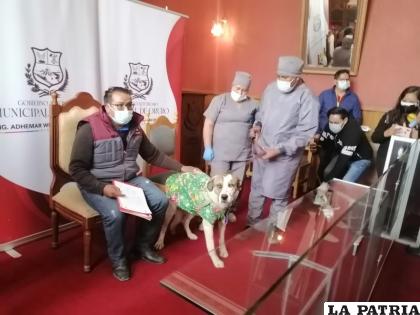 Instan a la población al buen trato de los animales /LA PATRIA