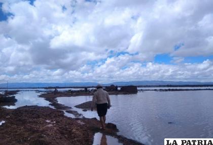 Las lluvias anegaron algunos lugares y se perdieron cultivos. Foto referencial /GAMC