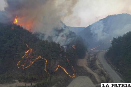 Un incendio avanza por una montaña en Uljin, Corea del Sur /Kim Huyntae /Yonhap vía AP