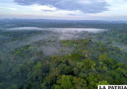 El Amazonas es uno de los pulmones de la Tierra /GETTY IMAGES