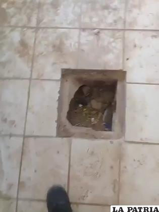 Hay varias falencias en las instalaciones de la unidad educativa