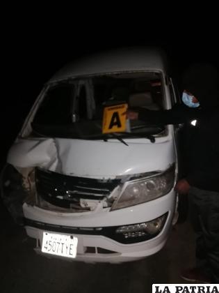 El “surubí” blanco impactó contra el hombre en la carretera panamericana Oruro- Pisiga /LA PATRIA

