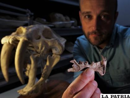 Una pieza de paleoarte de la criatura recién descubierta 
/Museo de Historia Natural de San Diego