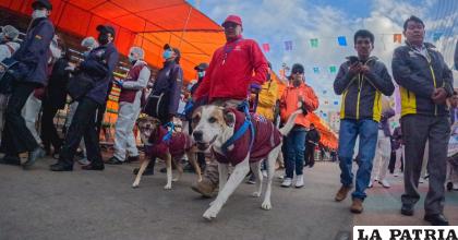 â€œAngelino Carnavaleroâ€ fue rescatado en condiciones lamentables /GAMO