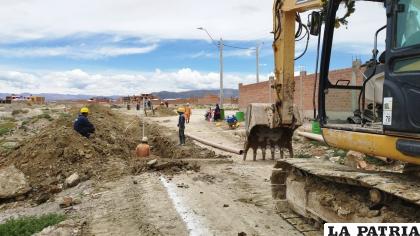 Avanza la construcción del sistema de alcantarillado sanitario en la junta vecinal Milenium Central /SMIP