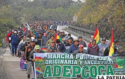 Marcha de los cocaleros de Adepcoca /Archivo APG