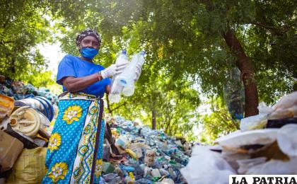 El reciclaje es importante para disminuir la cantidad de plásticos / ONU
