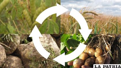 Esta práctica puede ser beneficiosa para la tierra / RRSS