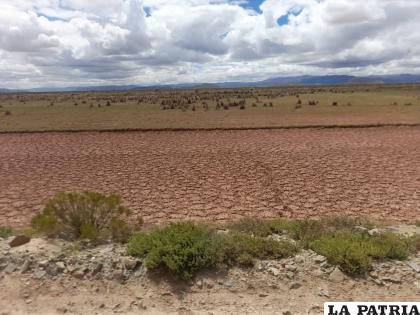 Tierras desérticas en El Choro /LA PATRIA
