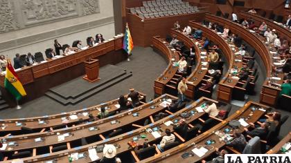 La sesión de la ALP se realizó en medio de desacuerdos /LA PATRIA