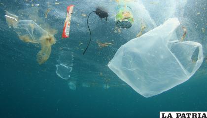 Los plásticos en los mares son un problema grande del medioambiente /europarl.europa.eu