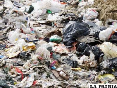 Las bolsas plásticas dañan el medio ambiente y demoran 100 años en reciclarse