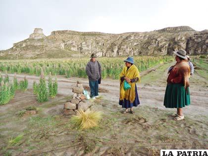 Zona de avasallamientos dentro del conflicto limítrofe entre Oruro y Potosí