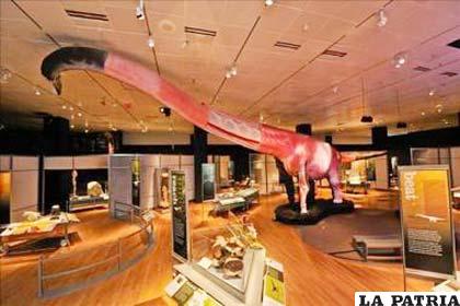 Museo de Historia Natural, presenta a los dinosaurios más grandes del mundo