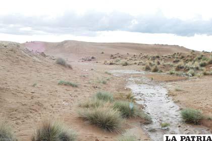 Dunas de arena consideradas Patrimonio Departamental
