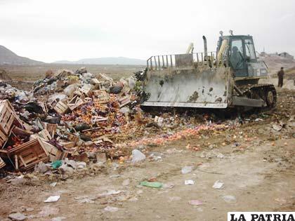Más de 140 cajas de fruta fueron destruidas, en presencia de la Aduana y Senasag