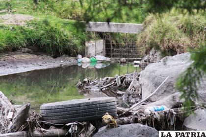 Un día como hoy, se promulgó la Ley del Medio Ambiente en Bolivia