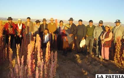Municipio de El Choro demuestra producción de quinua, a través del emprendimiento de la familia Ajuacho