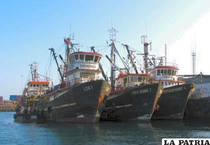 Chile quiere puerto seco pese a tener puertos marítimos