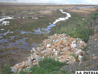Las botellas de plástico inundan las inmediaciones del lago Uru Uru