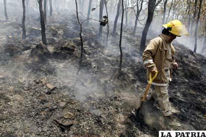 El Gobierno mexicano presume que incendio que consumió alrededor de 4.000 hectáreas fue premeditado (Foto: fotos.lainformacion.mx)