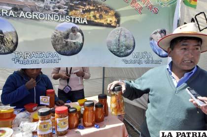 Instituto Tecnológico Agroindustrial Sajama, presenta sus productos procesados en base a hortalizas