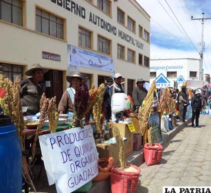 Producción de quinua en Huari, municipio impulsa proyecto de planta procesadora
