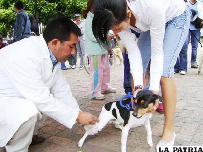 La campaña será realizada por los Sedes departamentales y gobiernos autónomos municipales en las ciudades concentradas