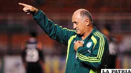 Scolari entrenador de la selección brasileña