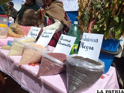 Diferentes variedades de quinua que se producen en Bolivia