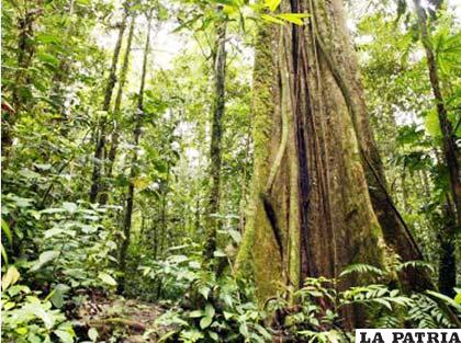 Ecuador protege su medio ambiente