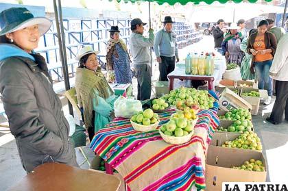 Variedad de manzanas producidas en Huari tienen calidad para exportar