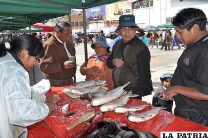 Productores ofertaron pejerrey a precios módicos ayer en feria del pescado