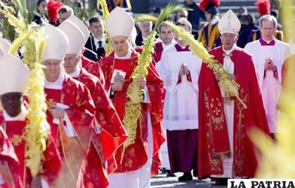 El Papa en el Domingo de Ramos