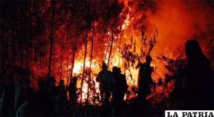 Una imagen que muestra la voracidad del fuego en este espacio natural ecológico