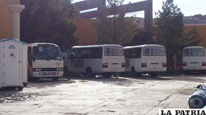 Buses serán utilizados a partir del lunes como transporte escolar