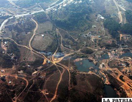Vista aérea de la destrucción de la masa arbórea de un bosque en la India