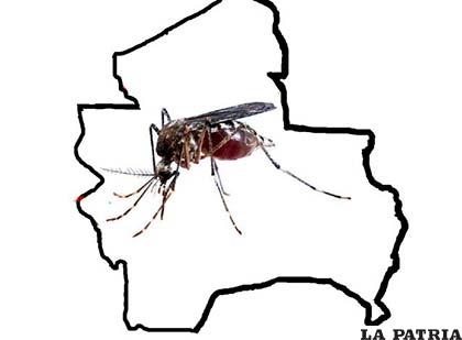 Ascienden a 21 los casos de zika en Santa Cruz /ABI