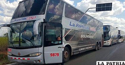 Buses bolivianos que fueron detectados en territorio de Brasil /Metropoly